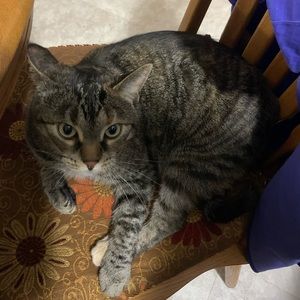 Meet your Posher, Kara